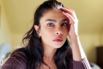 Priyanka Chopra breaking, Don't Look For Virgin Wife statement, priyanka chopra breaks silence on don t look for virgin wife comment, Pears