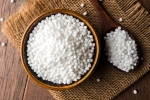 Sabudana disadvantages, Sabudana for health, is sabudana good for health, U smooth