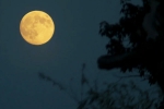 Supermoon 2025 decoded, Supermoon 2025 decoded, science behind supermoon explained, Supermoon Supermoon 2025 decoded, Supermoon 2025 decoded, science behind supermoon explained, Supermoon