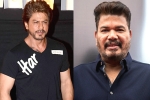 Shah Rukh Khan new film, Shah Rukh Khan news, shah rukh khan and shankar to team up for a sci fi thriller, King khan