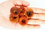 Soaked Anjeer health benefits, Soaked Anjeer, can you take soaked anjeer every day, Health coach