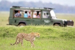 South African Safari Trip, South African Safari Trip total video, how to plan your south african safari trip, Amazing