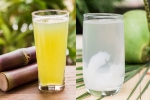 Sugarcane Juice Vs Coconut Water hydration, Sugarcane Juice Vs Coconut Water health benefits, sugarcane juice vs coconut water which is hydrating, Health benefits