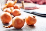 Raw Onion Vs Metformin experts, Raw Onion, type 2 diabetes is raw onion better than metformin, Insulin