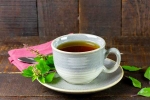 Black Tea and Tulsi, Black Tea and Tulsi experts, fight winter flu with black tea and tulsi, Fights