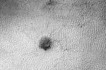 Mars, Martian spider, yards long spider on mars nasa, Red planet Mars, Martian spider, yards long spider on mars nasa, Red planet