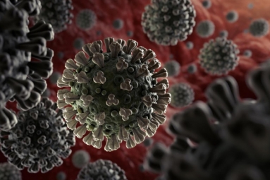Anti-Parasitic Drug Successful In Killing Coronavirus In 48 Hours: Study Anti-Parasitic Drug Successful In Killing Coronavirus In 48 Hours: Study