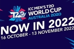 T20 World Cup 2022 news, T20 World Cup 2022 schedule, icc announces the schedule for t20 world cup 2022, Adelaide