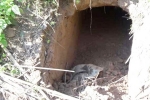 J&K, Pakistan, bsf found 20 meter tunnel from pakistan in sambha j k, Dharmedra pareek
