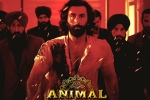 Animal movie, Animal for Filmfare, record breaking nominations for animal, Awards