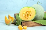 Muskmelon Seeds study benefits, Muskmelon Seeds study benefits, health benefits of muskmelon seeds, Cakes