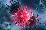 Coronavirus, USA Coronavirus, delta variant makes usa tensed again, Covid 19 patients