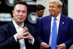 Elon Musk, Elon Musk and Donald Trump breaking, elon musk s big bet on donald trump, American elections 2024