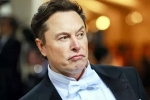 Elon Musk India visit, Elon Musk India visit pushed, elon musk s india visit delayed, Pol