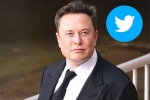 Elon Musk new updates, Elon Musk, elon musk takes a complete control over twitter, Elon musk