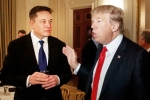 Elon Musk news, Elon Musk in USA, elon musk donates for donald trump s campaign, Behind the scenes