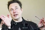 Elon Musk breaking, Elon Musk updates, elon musk says h 1b visa system is broken, Divorce