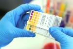technology, CRISPR, everything about feluda a low cost covid 19 test in india, Crispr