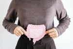 Gut Vs Skin bad, Gut Vs Skin latest breaking, your gut decides about your skin, Microorganisms