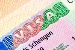 Schengen visa for Indians 2024, Schengen visa for Indians latest, indians can now get five year multi entry schengen visa, Pol