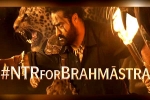Brahmastra Telugu event, Amitabh Bachchan, ntr turns chief guest for brahmastra event, Sony