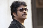 Nagarjuna, Alia Bhatt, nag signs a bollywood flick, Kargil