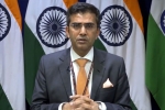 mea statement, raveesh kumar on pakistan, mea naya pakistan with naya soch should show naya action against terrorist groups, Wg cdr abhinandan varthaman