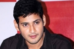 Mahesh Babu new movie, Rakul Preet Singh, no clarity on mahesh s next title, Sambha