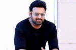 Prabhas new films, Prabhas updates, prabhas to return back to work, Prabhas project k