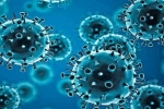 R.1 Coronavirus news, R.1 Coronavirus cases, r 1 variant of coronavirus traced in 35 countries, Coronavirus symptoms