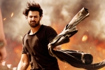 Prabhas, Saaho updates, saaho ten days telugu states collections, Neil nitin mukesh