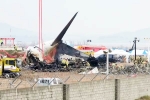 South Korea Plane Crash cause, South Korea Plane Crash, pilot made mayday call and mentioned bird strike in south korea plane crash, Kidding