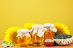 Sunflower Oil doctors, Sunflower Oil long term effects, long term effects of consuming sunflower oil on heart health, Three