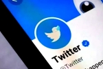 Twitter Blue Ticks, Twitter Blue Ticks latest updates, twitter blue ticks are back, Prakash raj