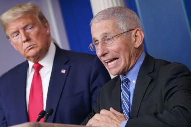 US could start reopening in May: Anthony Fauci