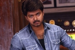 Atlee, Vijay, vijay in a cameo, Gauri khan