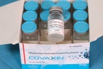 WHO on Covaxin updates, WHO on Covaxin news, who suspends the supply of covaxin, Bharat biotech