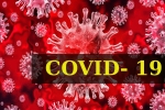 COVID- 19, Dr Tedros Adhanom Ghebreyesus, who renames the deadly coronavirus as covid 19, Snakes