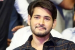 actor mahesh babu, , actor mahesh babu s bank accounts frozen by gst dept over tax dues, Service tax