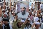 Bin Laden death updates, Bin Laden new updates, bin laden continues to mobilize jihadists ten years after his death, Al qaeda