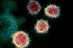 Mu variant in Columbia, Coronavirus in Columbia, one more new variant of coronavirus traced in columbia, Anthony fauci