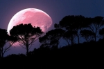 super pink moon, supermoon, april s super pink moon to rise today biggest of the year, Astronomer